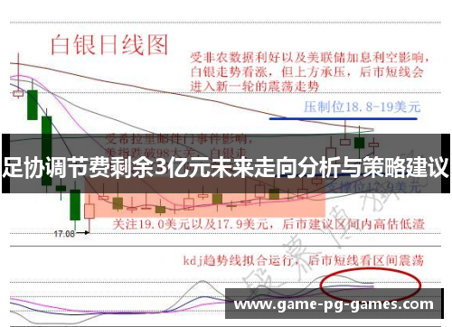 足协调节费剩余3亿元未来走向分析与策略建议